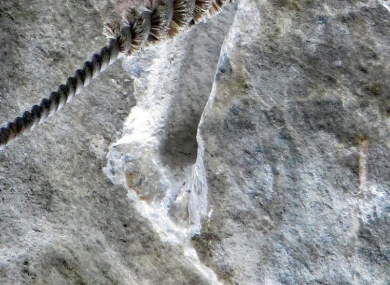 How to place Titanium Bolts_0603